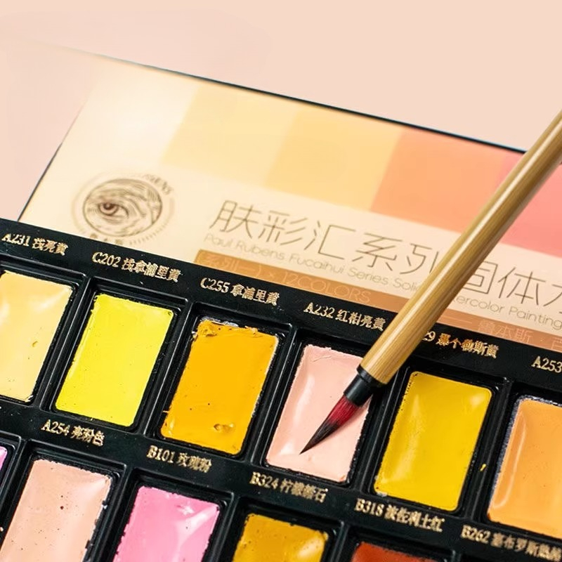 12 色の肌の色固体水彩顔料セット水に簡単に溶けるフィギュア - Watercolor Paint Set Solid Pigment のレビューと価格